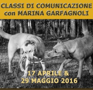 classi-comunicazione-per-cani-Arezzo-2016