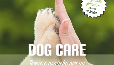 corso-dog-care-arezzo-2016